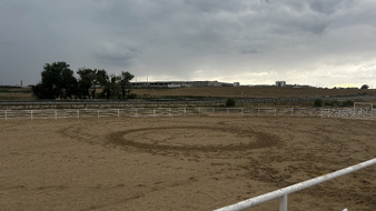 Enlarge photo 68