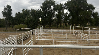Enlarge photo 71