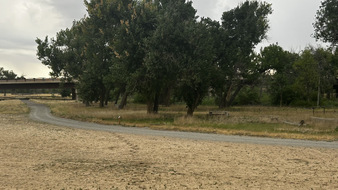 Enlarge photo 75
