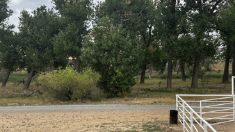 Enlarge photo 76