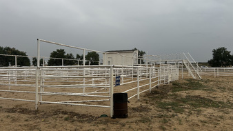 Enlarge photo 77