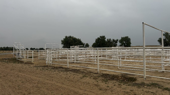 Enlarge photo 78