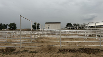 Enlarge photo 79