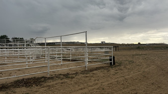 Enlarge photo 80