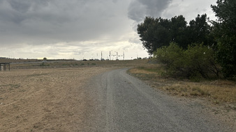 Enlarge photo 81