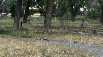 Enlarge photo 83