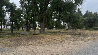 Enlarge photo 84