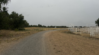 Enlarge photo 85