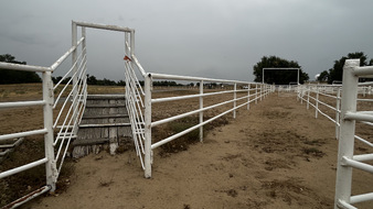 Enlarge photo 86