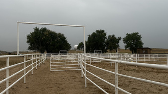Enlarge photo 87