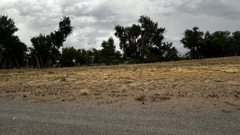 Enlarge photo 89