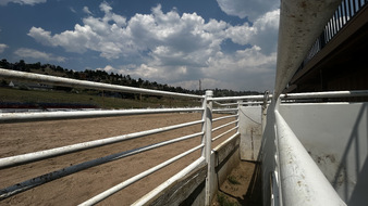 Enlarge photo 62
