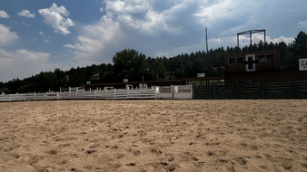 Enlarge photo 72