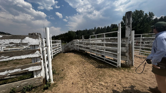 Enlarge photo 78