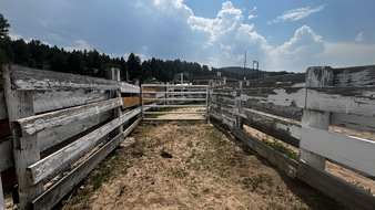 Enlarge photo 81