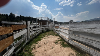 Enlarge photo 82