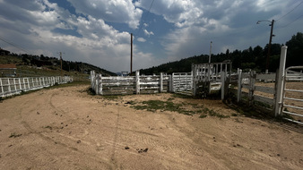 Enlarge photo 88