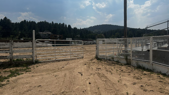 Enlarge photo 91