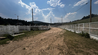 Enlarge photo 92