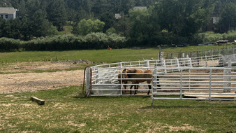 Enlarge photo 95