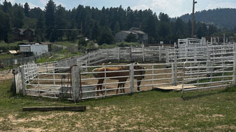 Enlarge photo 96