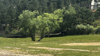 Enlarge photo 105