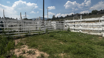 Enlarge photo 110