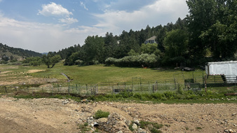 Enlarge photo 137