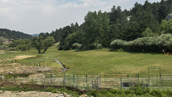 Enlarge photo 138
