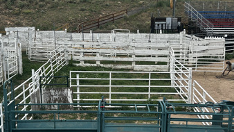 Enlarge photo 51