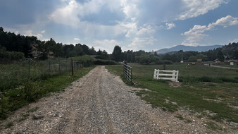 Enlarge photo 139