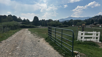 Enlarge photo 140