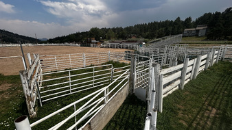 Enlarge photo 119