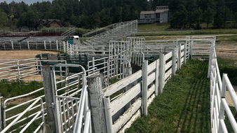 Enlarge photo 122