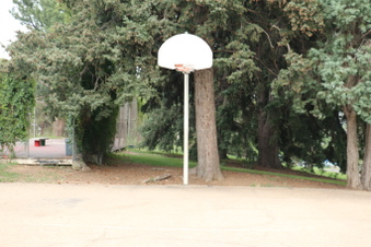 Enlarge photo 51