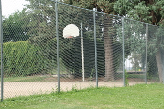 Enlarge photo 61