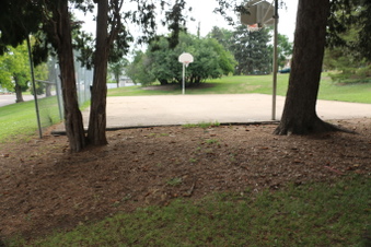 Enlarge photo 67