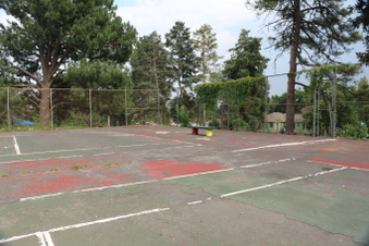 Enlarge photo 77