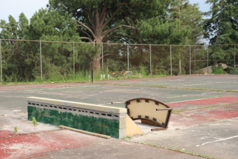 Enlarge photo 81