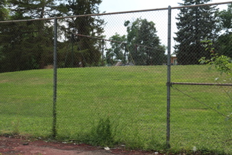 Enlarge photo 85