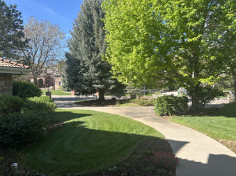 Enlarge photo 41