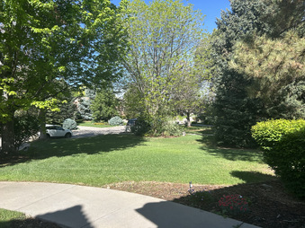 Enlarge photo 43