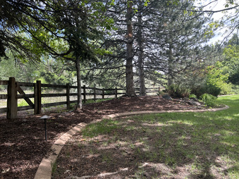 Enlarge photo 43