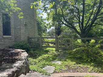 Enlarge photo 46