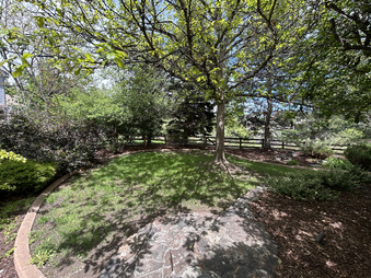 Enlarge photo 47