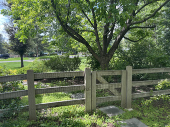 Enlarge photo 49