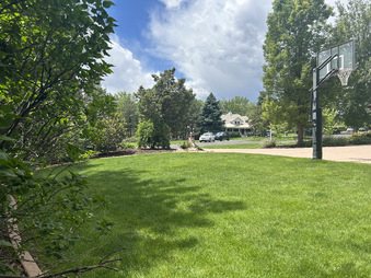 Enlarge photo 84