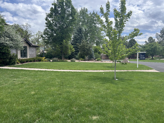 Enlarge photo 102