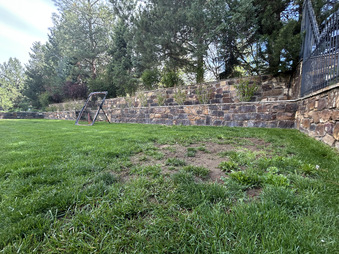 Enlarge photo 41