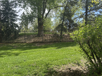 Enlarge photo 54